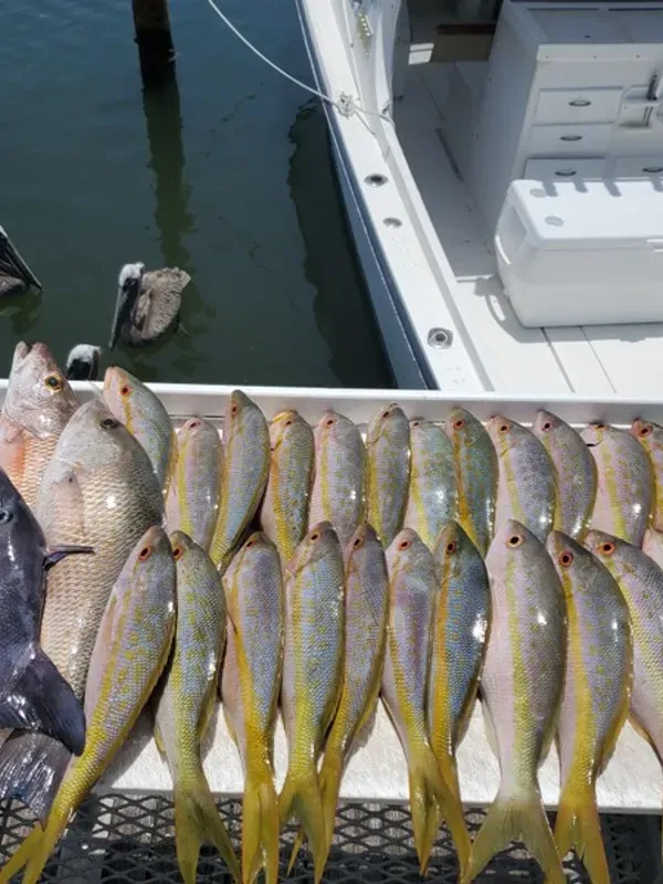 Lots of action on the reef! Made the rods bend and some great memories.