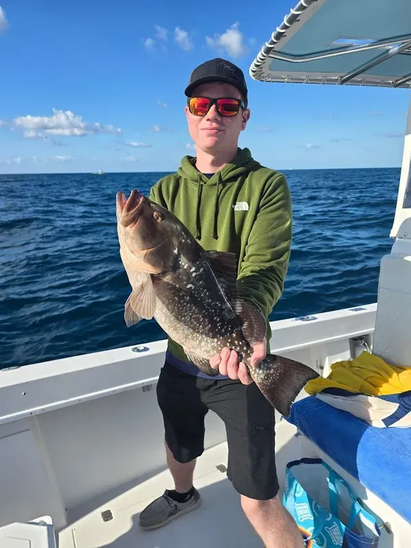 Red Grouper