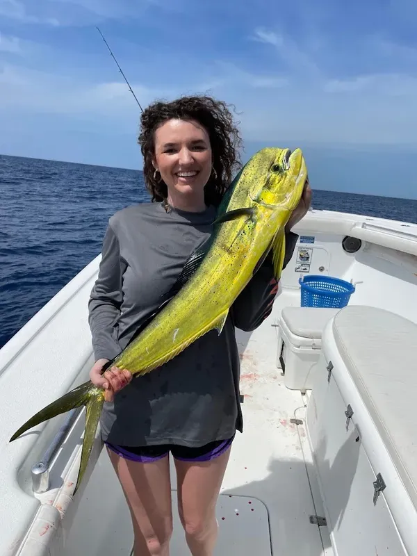 A nice Bull Dolphin (Mahi Mahi)