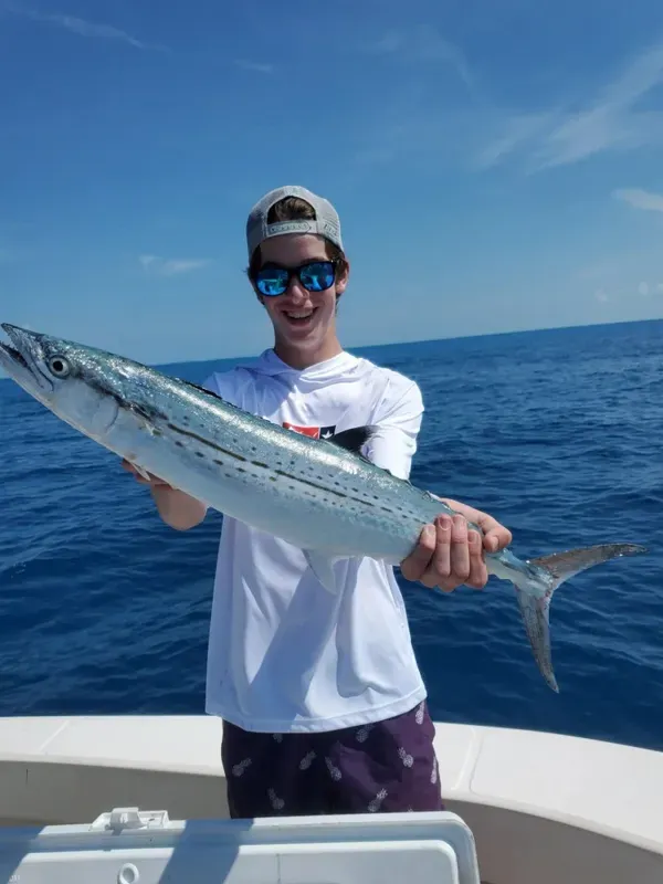 Cero Mackerel, the best eating of the family!